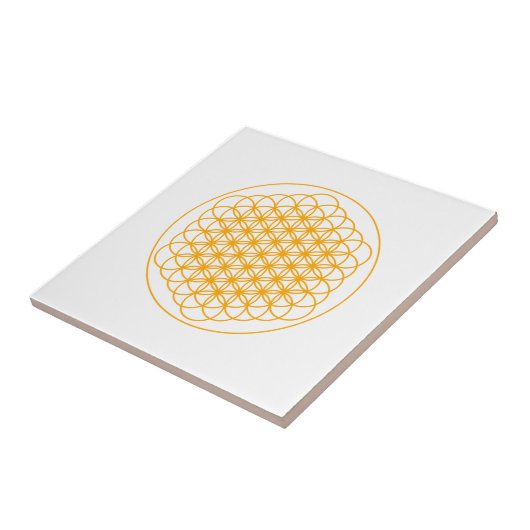 LEVENSSECERAMISCHE TIL PER DMT TEGELTJE (Zijkant)