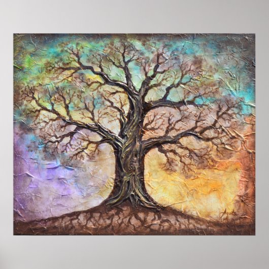 Levensseizoenen Poster (Voorkant)