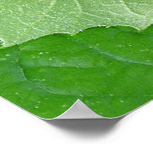 LEVENSSTADIA POSTER (Hoek)