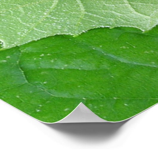 LEVENSSTADIA POSTER (Hoek)