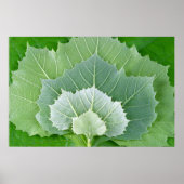 LEVENSSTADIA POSTER (Voorkant)