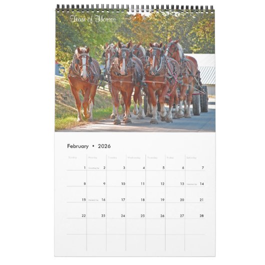 Levensstijl van de Amish Kalender (Feb 2026)