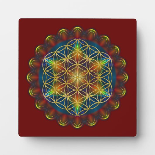 LEVENSSTROOM / Blume des Lebens - Mandala III Fotoplaat (Voorkant)