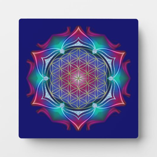 LEVENSSTROOM / Blume des Lebens - Mandala IV Fotoplaat (Voorkant)