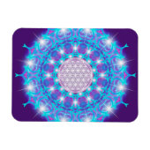 LEVENSSTROOM/Blume des Lebens Stars Mandala Magneet (Horizontaal)