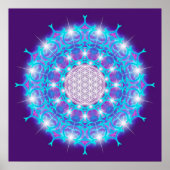LEVENSSTROOM/Blume des Lebens Stars Mandala Poster (Voorkant)