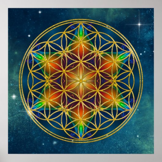 LEVENSSTROOM - Fractal Blossom 1 Poster (Voorkant)