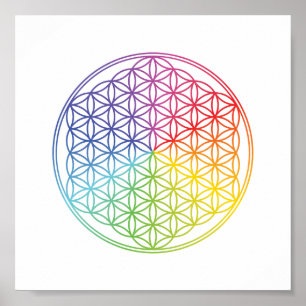 Levenstralen - geometrisch patroon - regenboogkleu poster