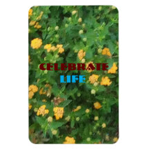 Levensviering Flexibele Magneet