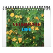 Levensviering Kalender (Hoes)