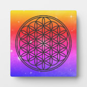 LEVENSVLOEISTOFFER - Schets 1 van het symbool voor Fotoplaat (Voorkant)