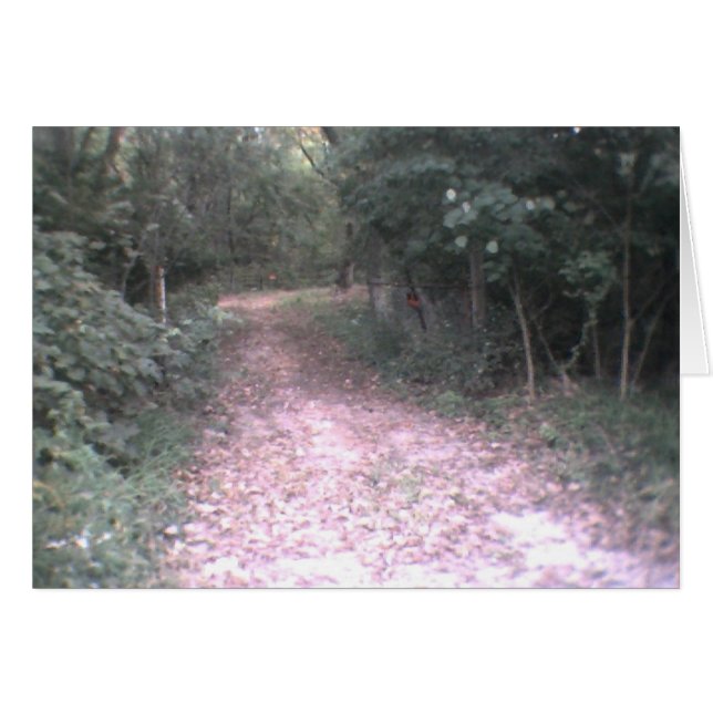 levensweg (Voorkant Horizontaal)