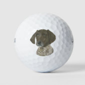 Lever- en witte, Duitse horthaired pointer Golfballen (Voorkant)