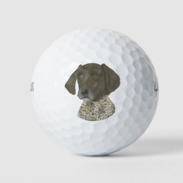 Lever- en witte, Duitse horthaired pointer Golfballen