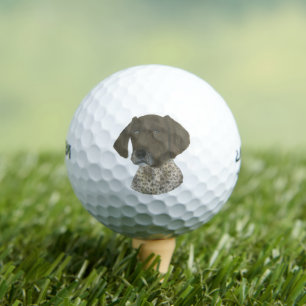Lever- en witte, Duitse horthaired pointer Golfballen