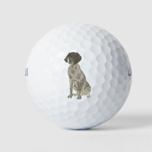Lever- en witte, Duitse horthaired pointer Golfballen (Voorkant)