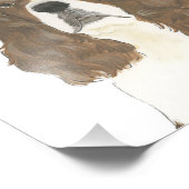 Lever & Wit Engels Springer Spaniel Art Foto Afdruk (Hoek)