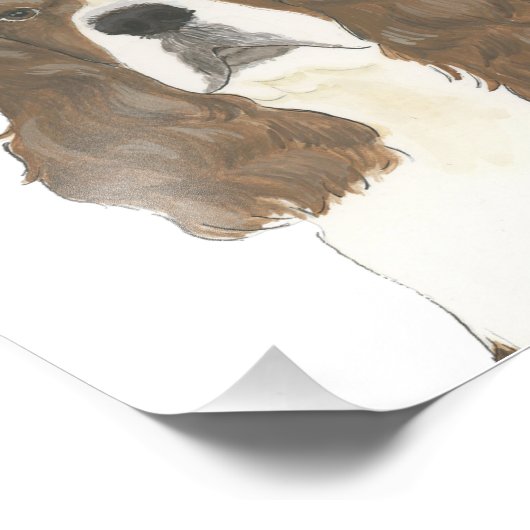 Lever & Wit Engels Springer Spaniel Art Foto Afdruk (Hoek)