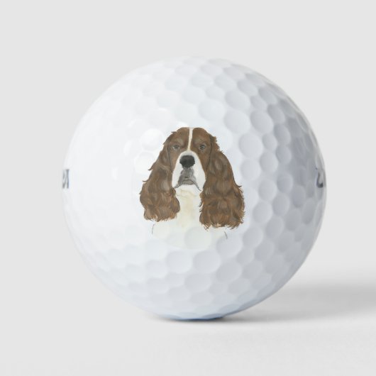 Lever & Witte Engelse Springer Spaniel Golfballen (Voorkant)