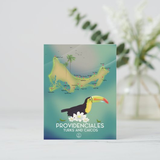 Leveranciersturks en caicos briefkaart (Staand voorkant)