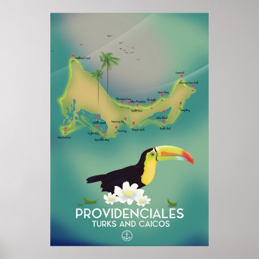 Leveranciersturks en caicos poster (Voorkant)
