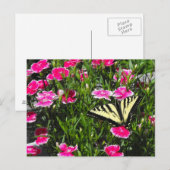 Levering van boter briefkaart (Voorkant / Achterkant)