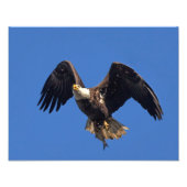 Levering van de goederen foto afdruk (Voorkant)