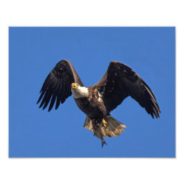 Levering van de goederen foto afdruk