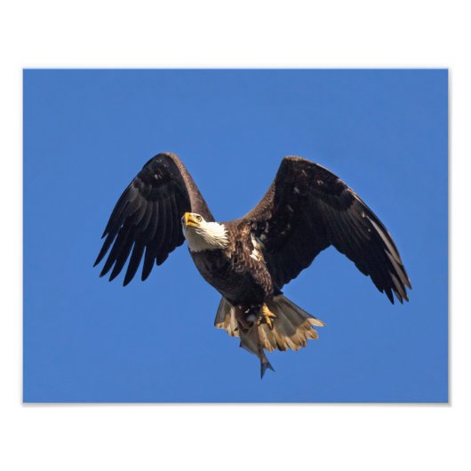 Levering van de goederen foto afdruk (Voorkant)