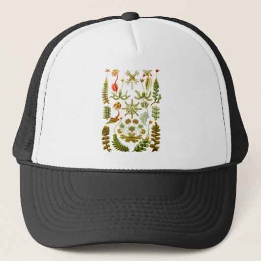 Levermos Trucker Pet (Voorkant)
