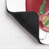 Leverpancreasdiagram Mousepad Muismat (Hoek)