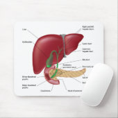 Leverpancreasdiagram Mousepad Muismat (Met muis)