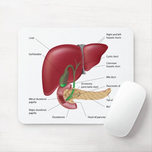 Leverpancreasdiagram Mousepad Muismat (Met muis)
