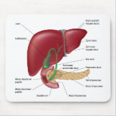 Leverpancreasdiagram Mousepad Muismat (Voorkant)
