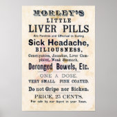 LEVERPIJLEN ZORGEN ALLES IN DE 19E EEUW POSTER (Voorkant)