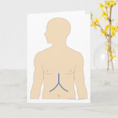 Levertransplantatie Kaart (Gele Bloem)