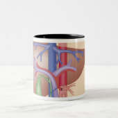 Levertransplantatieprocedure Tweekleurige Koffiemok (Center)