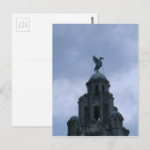 Levervogel in Liverpool Briefkaart (Voorkant / Achterkant)