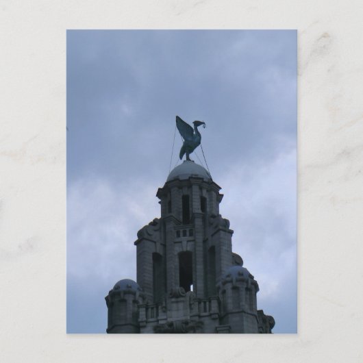 Levervogel in Liverpool Briefkaart (Voorkant)