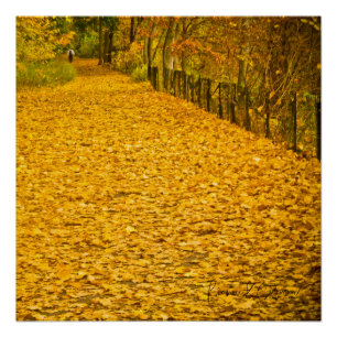 LEVES GONE WILD HERFST FOLIAGE PERFECT POSTER
