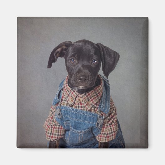 Levi Magneet (Voorkant)