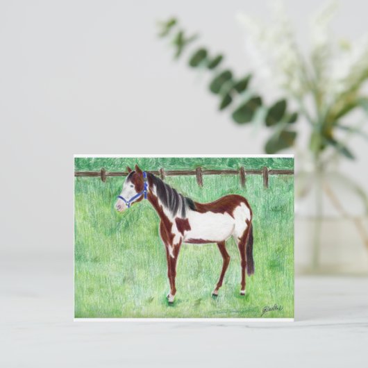 Levi Paint Horse Briefkaart (Staand voorkant)