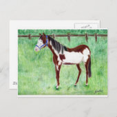 Levi Paint Horse Briefkaart (Voorkant / Achterkant)