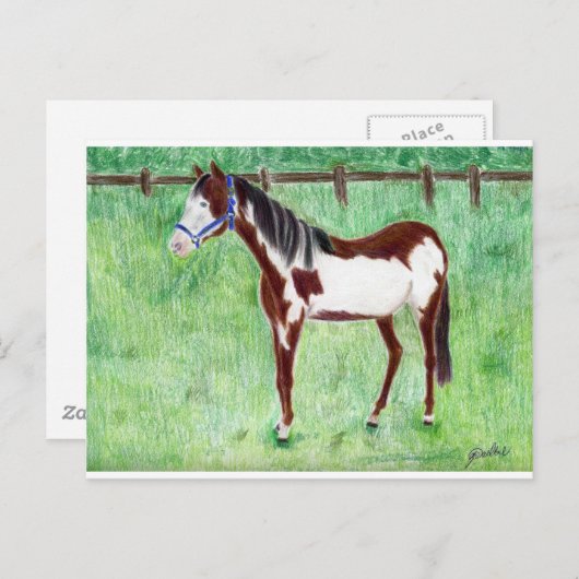 Levi Paint Horse Briefkaart (Voorkant / Achterkant)