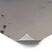 Levi x Mikasa Poster (Hoek)