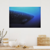 Leviathan Poster (Keuken)