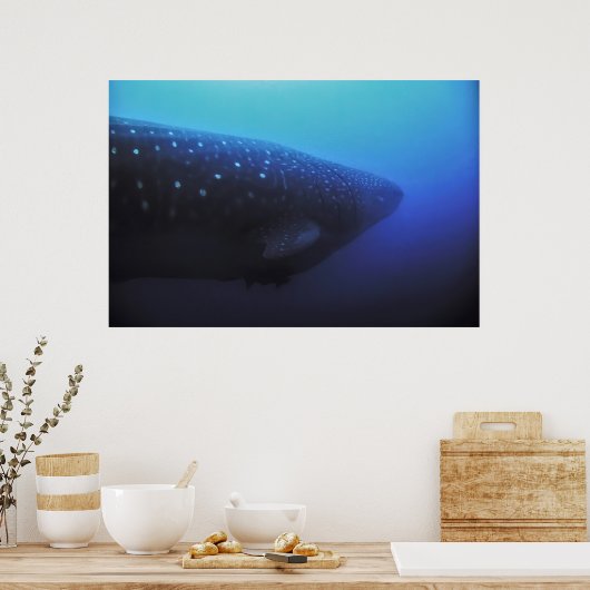 Leviathan Poster (Keuken)