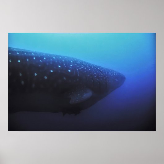 Leviathan Poster (Voorkant)