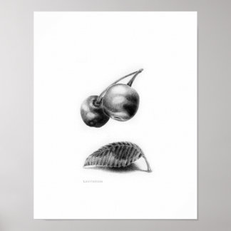 Levitatie Poster