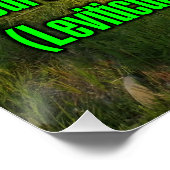 Leviticus 19:18 WEBU Perfect Poster (Hoek)